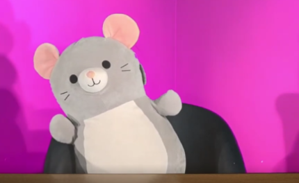 A stuffed mouse, Misty Mouse, sits in a news anchor's chair about to tell some silly news.